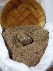 14017753_10208728719289583_764825361_n